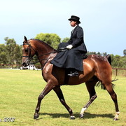 25th East Coast Championship Show - Day 3/ Finals