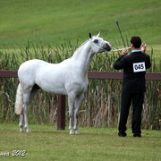 25th East Coast Championship Show - Day 3/ Finals