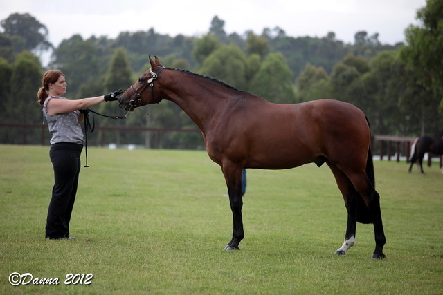 25th East Coast Championship Show - Day 3/ Finals
