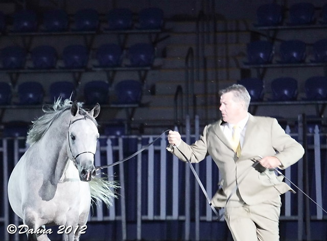 25th East Coast Championship Show - Day 3/ Finals