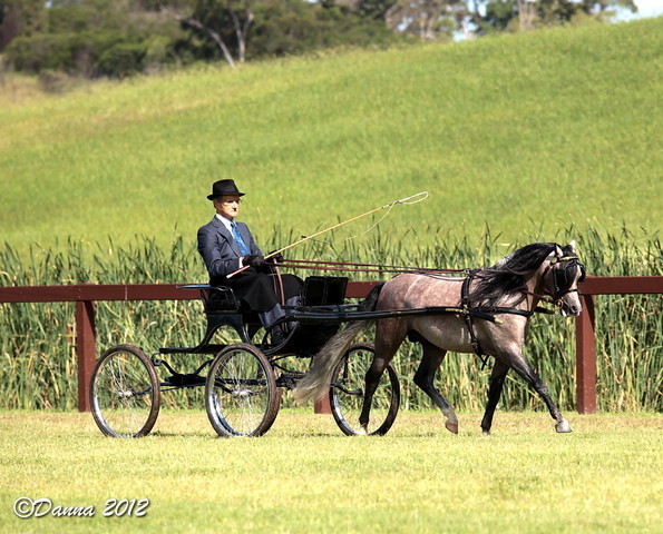 25th East Coast Championship Show - Day 3/ Finals