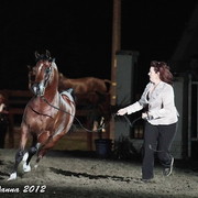 25th East Coast Championship Show - Day 3/ Finals