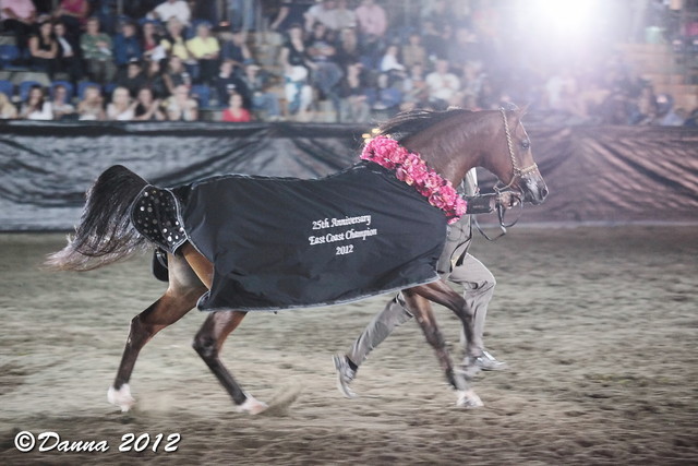 25th East Coast Championship Show - Day 3/ Finals