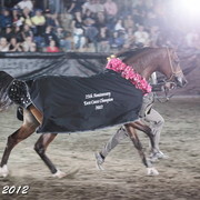 25th East Coast Championship Show - Day 3/ Finals