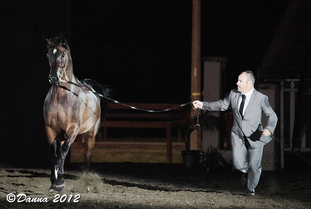 25th East Coast Championship Show - Day 3/ Finals