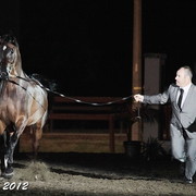 25th East Coast Championship Show - Day 3/ Finals