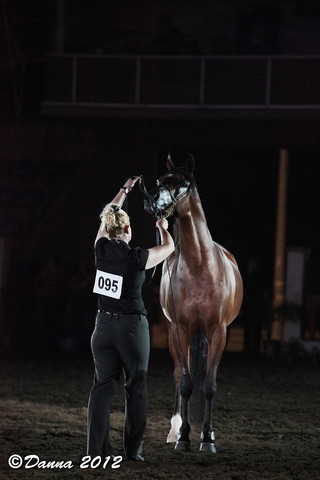 25th East Coast Championship Show - Day 3/ Finals