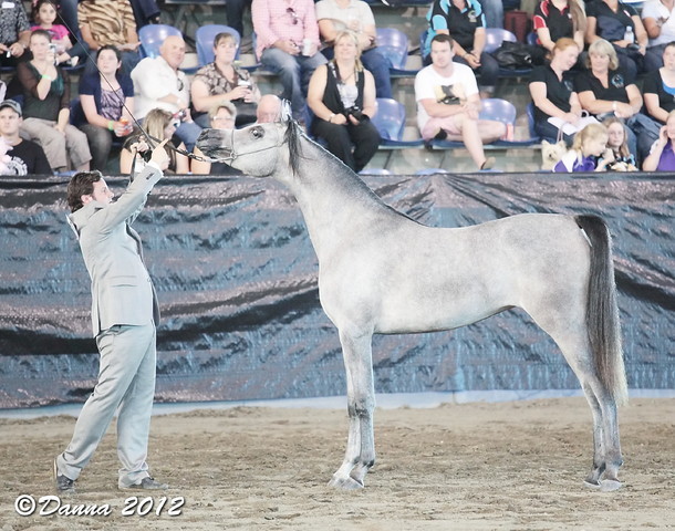25th East Coast Championship Show - Day 3/ Finals
