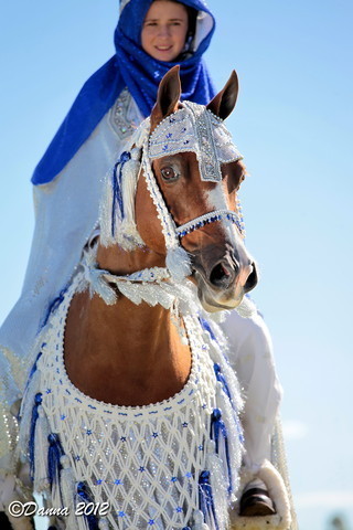 25th East Coast Championship Show - Day 3/ Finals