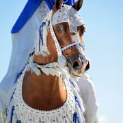 25th East Coast Championship Show - Day 3/ Finals