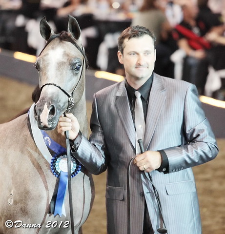 25th East Coast Championship Show - Day 3/ Finals