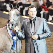 25th East Coast Championship Show - Day 3/ Finals