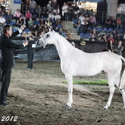 25th East Coast Championship Show - Day 3/ Finals