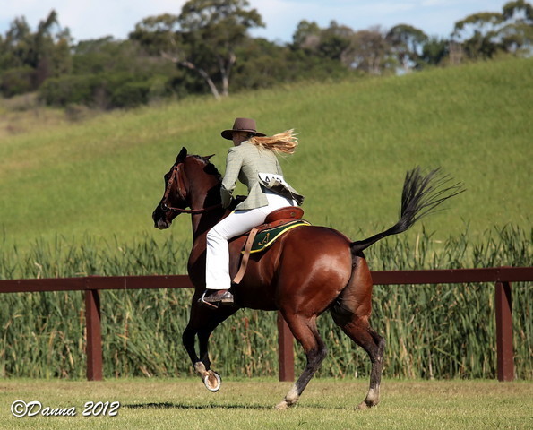 25th East Coast Championship Show - Day 3/ Finals
