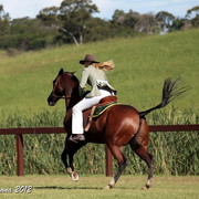 25th East Coast Championship Show - Day 3/ Finals