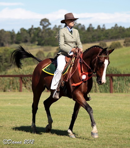 25th East Coast Championship Show - Day 3/ Finals