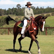 25th East Coast Championship Show - Day 3/ Finals