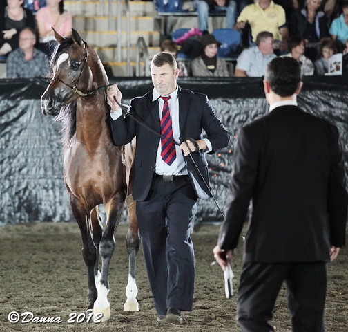 25th East Coast Championship Show - Day 3/ Finals