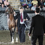 25th East Coast Championship Show - Day 3/ Finals