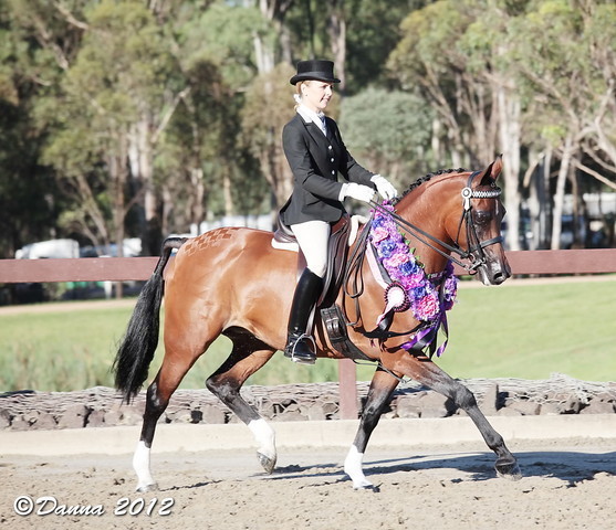 25th East Coast Championship Show - Day 3/ Finals