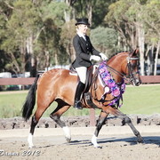 25th East Coast Championship Show - Day 3/ Finals