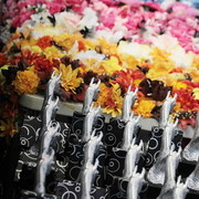 25th East Coast Championship Show - Day 3/ Finals