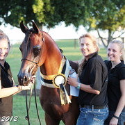 25th East Coast Championship Show - Day 3/ Finals