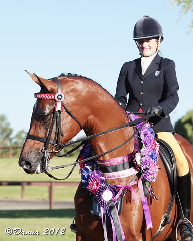 25th East Coast Championship Show - Day 3/ Finals