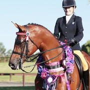 25th East Coast Championship Show - Day 3/ Finals