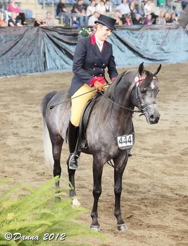 25th East Coast Championship Show - Day 3/ Finals