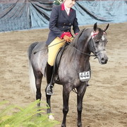 25th East Coast Championship Show - Day 3/ Finals