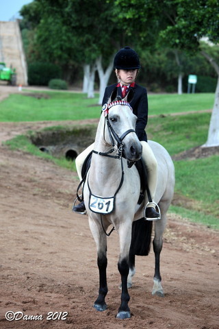 25th East Coast Championship Show - Day 3/ Finals