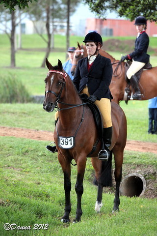 25th East Coast Championship Show - Day 3/ Finals