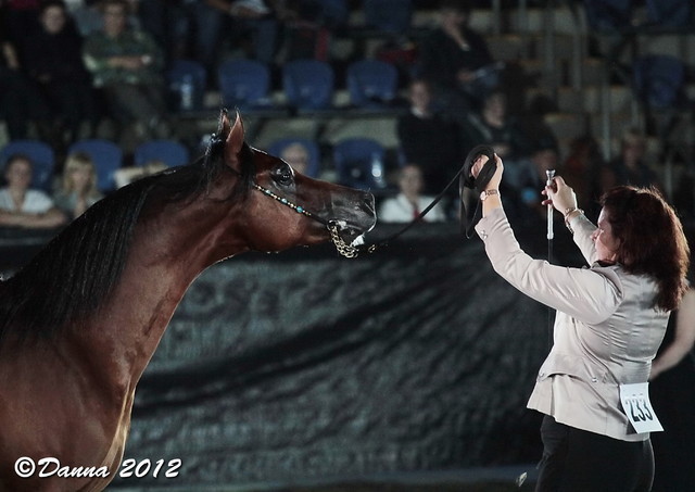 25th East Coast Championship Show - Day 3/ Finals