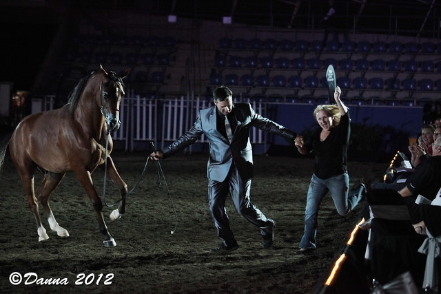 25th East Coast Championship Show - Day 3/ Finals