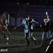 25th East Coast Championship Show - Day 3/ Finals