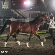 25th East Coast Championship Show - Day 3/ Finals