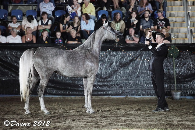 25th East Coast Championship Show - Day 3/ Finals