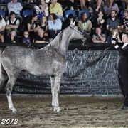 25th East Coast Championship Show - Day 3/ Finals