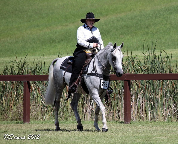 25th East Coast Championship Show - Day 3/ Finals