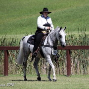 25th East Coast Championship Show - Day 3/ Finals