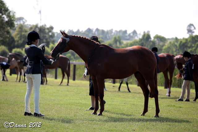 25th East Coast Championship Show - Day 3/ Finals