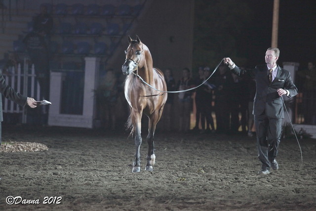 25th East Coast Championship Show 2012- Finals