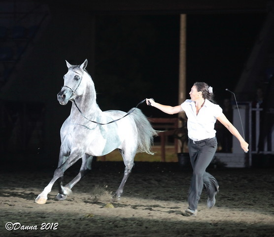 25th East Coast Championship Show 2012- Finals