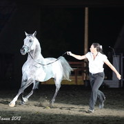 25th East Coast Championship Show 2012- Finals
