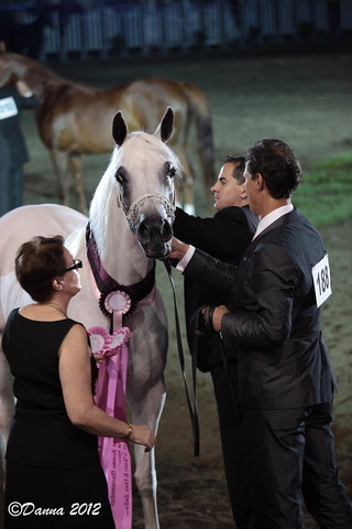 25th East Coast Championship Show 2012- Finals