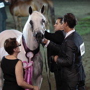 25th East Coast Championship Show 2012- Finals