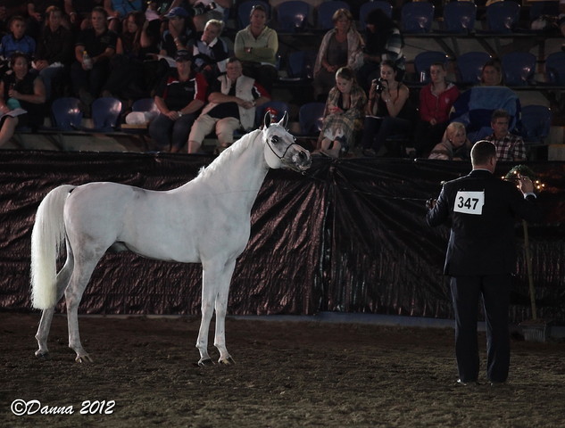 25th East Coast Championship Show 2012- Finals