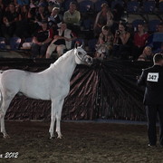 25th East Coast Championship Show 2012- Finals