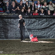 25th East Coast Championship Show 2012- Finals
